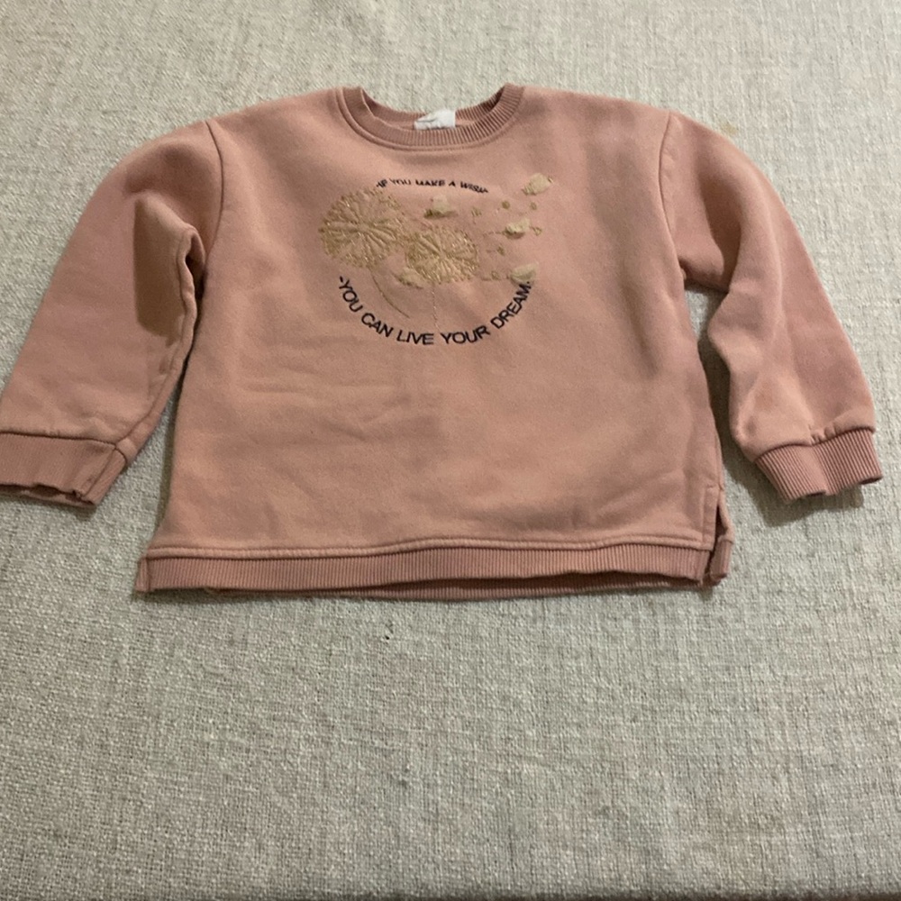 Zara If You Make A Wish Sweatshirt Size 6